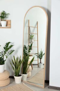 Combine Mirrors with Plants